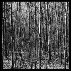 Forever Trapped in a Broken Mirror